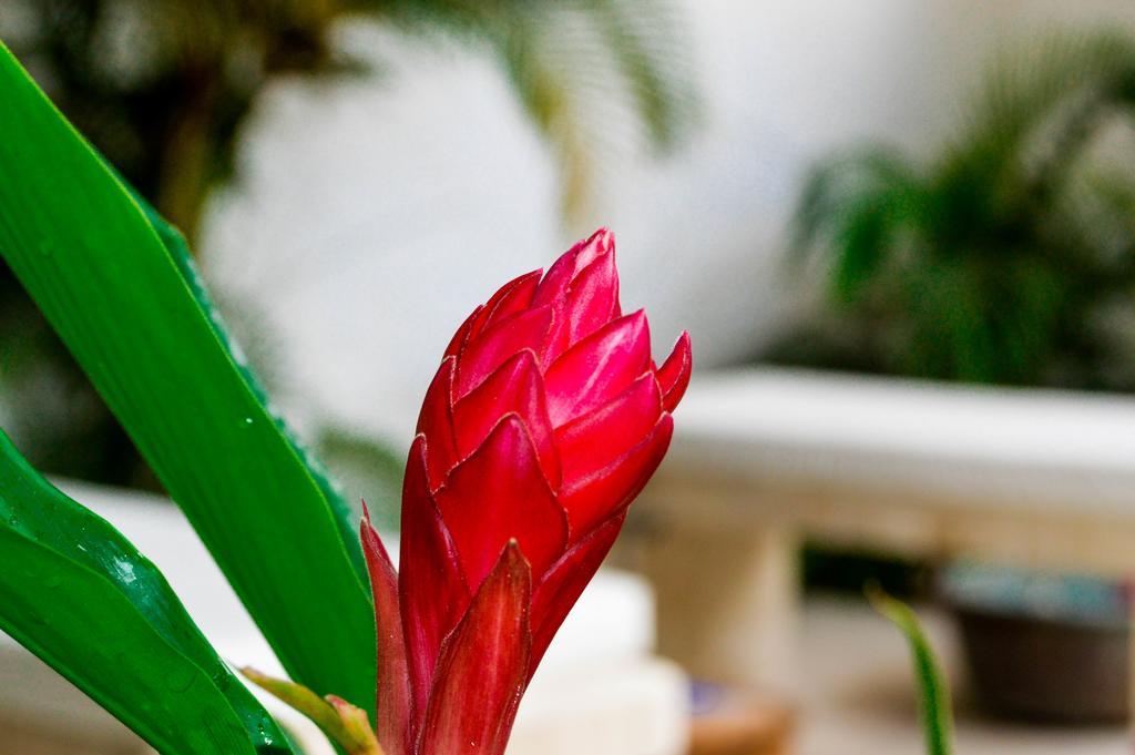 Hotel Aldea Del Bazar & Spa Puerto Escondido  Dış mekan fotoğraf